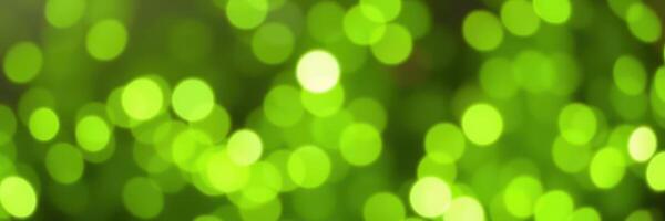 Vibrant green bokeh effect showcasing out-of-focus lights creating a captivating visual atmosphere photo