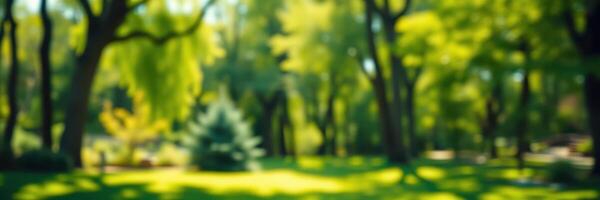 Lush green park filled with trees and sunlight during a bright sunny day in spring photo