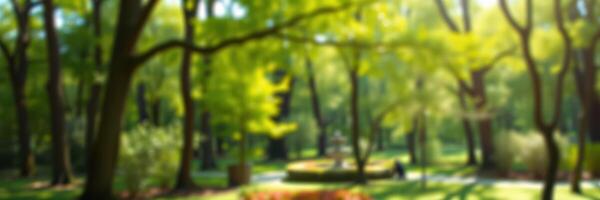 Calm afternoon in a lush green park with trees and sun-dappled pathways photo