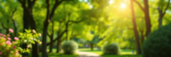 Serenity of a sunlit park path surrounded by lush greenery and blooming flowers in the early morning photo