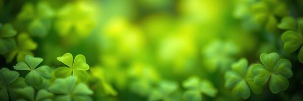Lush green clover leaves create a vibrant and serene atmosphere in a natural setting photo