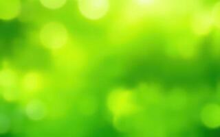 Vibrant green backdrop featuring soft bokeh lights during a sunny day in a lush forest setting photo