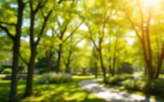 Bright afternoon in a lush green park with sun filtering through trees photo