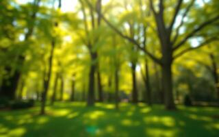 Lush green trees in a sunny park during springtime with vibrant foliage and dappled light on the ground photo