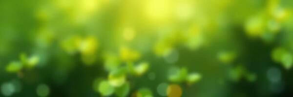 Vibrant green foliage illuminated by soft sunlight during a peaceful afternoon in nature photo