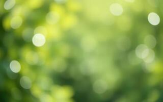 Soft green bokeh effect creates a dreamy atmosphere in a sunlit forest during early summer photo
