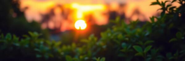 Vibrant sunset captured over lush greenery in a tropical setting photo