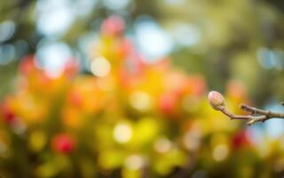 Bud on a branch with colorful blurred foliage in the background during springtime photo