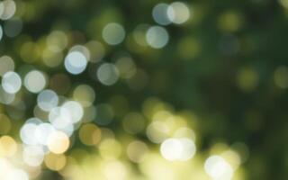 Sunlight filters through leaves creating a shimmering bokeh effect in a lush garden at midday photo
