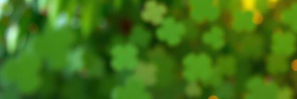 Beautiful green foliage with delicate shapes and soft light creating a tranquil atmosphere in a natural setting photo