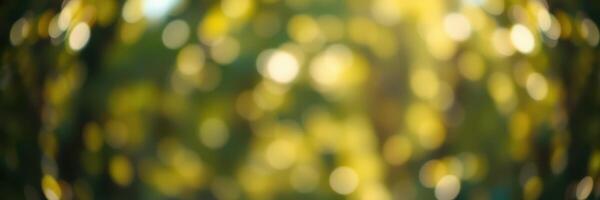 Soft sunlight filters through golden leaves creating a dreamy, bokeh effect in a serene outdoor setting during autumn photo