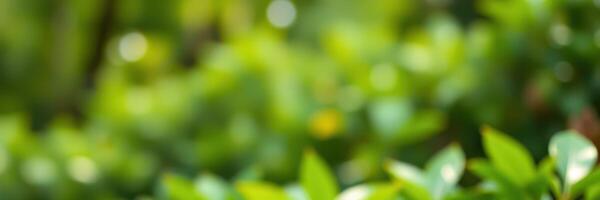 Lush greenery fills the background in a serene garden during midday light, creating a peaceful atmosphere for relaxation photo