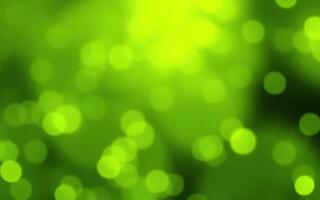 Green bokeh lights create a soft, dreamy atmosphere during an evening gathering outdoors in springtime photo