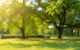 Bright sunny day in a lush green park with trees and grassy area for relaxation and outdoor activities photo
