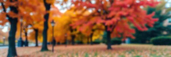 Vibrant autumn colors fill a park with red and orange leaves under a clear sky in an urban setting photo