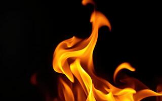 Flames dance gracefully in the darkness, creating a mesmerizing display of fiery colors and shapes photo