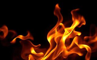 Vibrant flames dance against a dark background, creating a mesmerizing display of fire and light photo