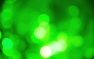 Vibrant green bokeh pattern creating a shimmering and lively background for various themes and designs photo
