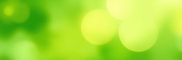 Vibrant green bokeh background with soft glowing circles creating a calming effect in nature photo