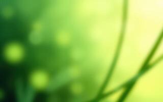 Lush green foliage with a soft focus on blurred plant details in nature setting during daylight hours photo