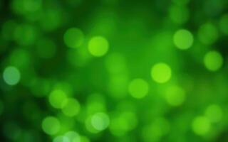 Vibrant green bokeh lights create a magical atmosphere in a lush natural setting photo