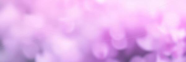 Soft purple floral background with blurred bokeh effect creating a dreamy atmosphere in springtime garden photo