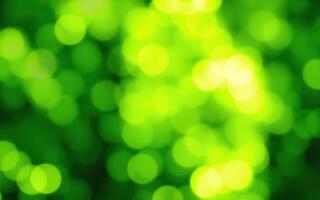 Vibrant green bokeh background creates a lively atmosphere at an outdoor gathering during summer photo