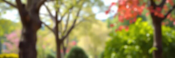 Vibrant spring afternoon in a lush park with blooming trees and colorful foliage photo