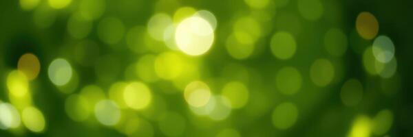 Soft green bokeh background creates a serene atmosphere for nature lovers and artists alike in a bright outdoor setting photo
