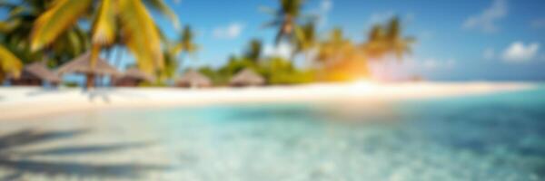 Tropical beach with clear water and palm trees under a sunny sky during daytime near a resort photo
