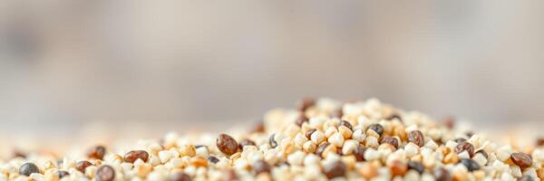 Quinoa grains in focus showcasing their unique textures and colors in a smooth background photo