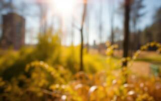 Bright sun shines through autumn foliage in a tranquil park setting photo