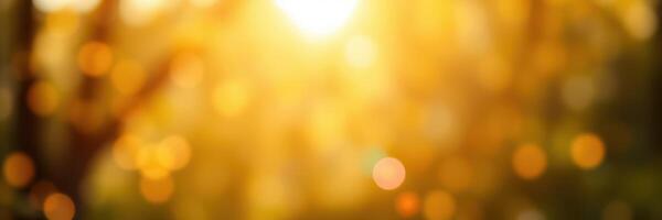 Golden sunlight filters through trees creating a warm, serene atmosphere at dusk photo