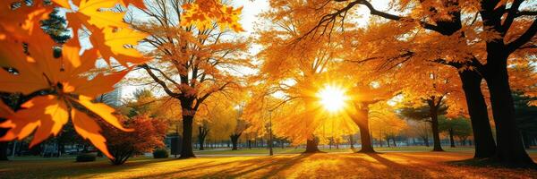 Stunning autumn sunset shines through vibrant orange and yellow leaves in a serene park photo