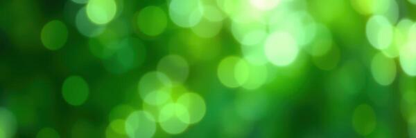 Beautiful green bokeh lights create a serene atmosphere in a fresh outdoor setting during a sunny day photo
