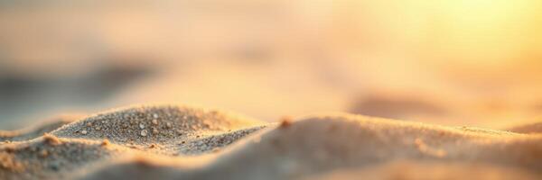 Sand dunes glimmer under the golden light of sunset on a tranquil beach shore photo