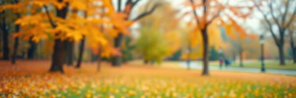 Colorful autumn leaves blanket a serene park path in the midst of fall foliage season photo