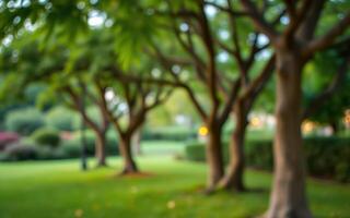 Lush green park with trees creating a serene atmosphere in the early evening photo