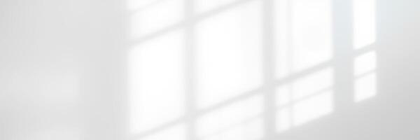 Soft shadows dance across a white wall illuminated by morning light streaming through a window photo