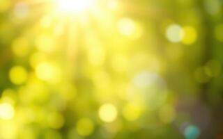 Sunlight filtering through green foliage creates a serene atmosphere in a forest setting during summer photo