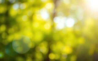 Sunlight filters through a vibrant green forest, creating a soft, dreamy atmosphere with blurred foliage photo