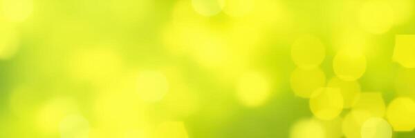 Vibrant green background with soft bokeh lights capturing the essence of nature's beauty and tranquility in a serene environment photo