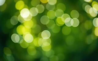 Beautiful bokeh effect created by sunlight filtering through green foliage in a lush forest during daytime photo