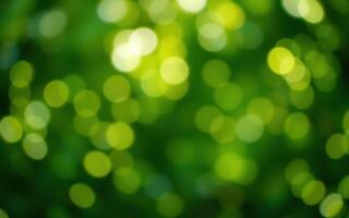 Soft green bokeh creates a tranquil and serene background effect in a lush, natural setting during daylight hours photo