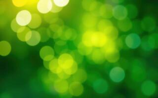 Lush green bokeh background creates a tranquil atmosphere in the early afternoon light photo