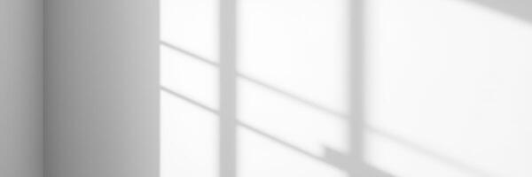 Soft shadows play across a minimalistic interior during morning light photo