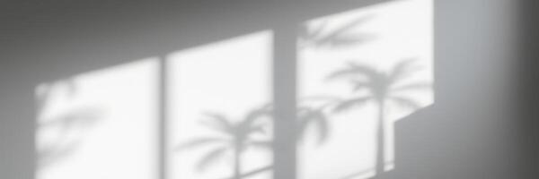 Light casting soft shadows of palm trees in a tranquil indoor setting during a sunny afternoon photo