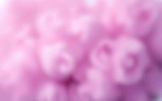 Soft pink floral background with blurred petals creating a dreamy atmosphere in spring photo