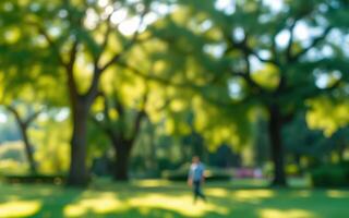 Person walking in a sunlit park among large trees during a warm afternoon photo