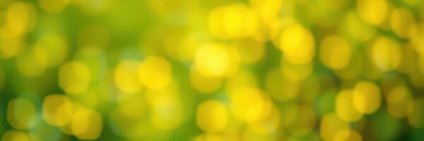 Golden bokeh lights create a warm and vibrant atmosphere in a garden during a sunny afternoon photo